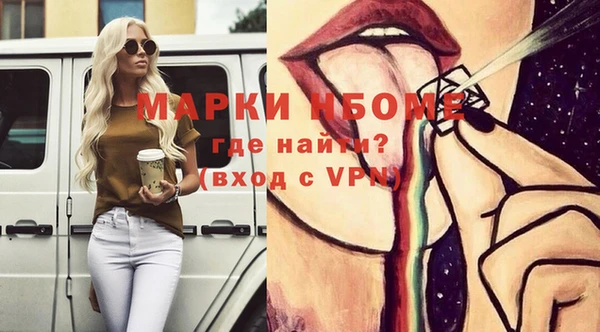 прущие грибы Беломорск