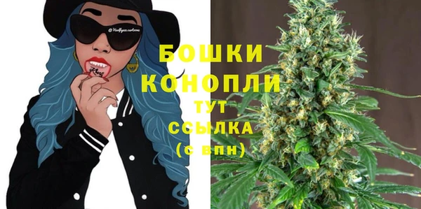 дмт Белокуриха