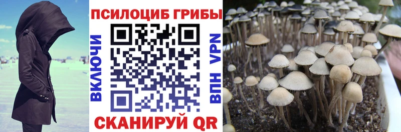 Галлюциногенные грибы Psilocybine cubensis Нижний Ломов