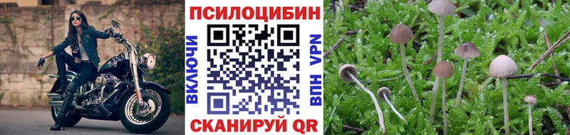 ОМГ ОМГ tor  Нижний Ломов  Галлюциногенные грибы MAGIC MUSHROOMS 